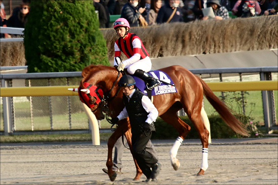 【日経新春杯（G2）展望】武豊「神逃亡？」メイショウテッコンら4歳強豪集う！G1戦線に名乗りを上げるのは......の画像4