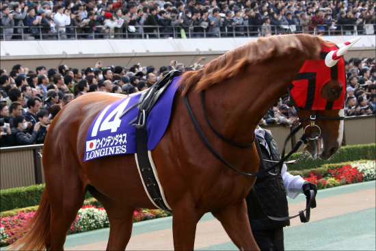 【ダイヤモンドS（G3）展望】JRA超長距離王戦！ 大本命ユーキャンスマイルに襲いかかる「良血馬」の画像3