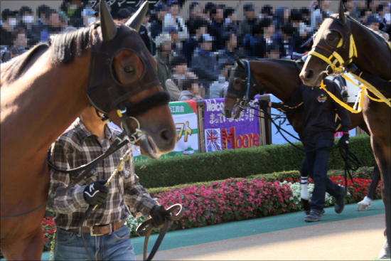 JRA阪神JF（G1）「廃止」提言!? 亀谷敬正氏「つまらないレース」有名評論家が語る驚愕の2歳女王戦「代替案」とはの画像2