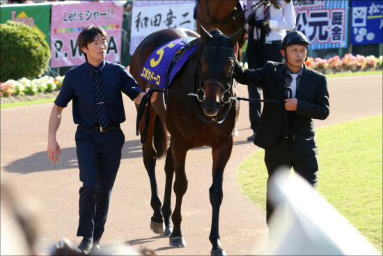 JRA中山記念エポカドーロ「本当の実力」皐月賞・ダービーのレベルに疑問も、やはり有力かの画像2