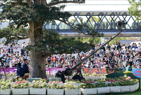 JRA「暗黒世代?」新人の悲惨......「斤量超過」「1勝/154戦」「距離誤認」の数え役満!?の画像2