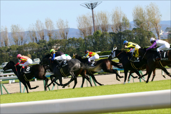 JRA「女性寝込み襲撃」記者の蛮行に驚愕......被害女性はショック消えず。「競馬界の強さ」が生む社会性のなさ？の画像2