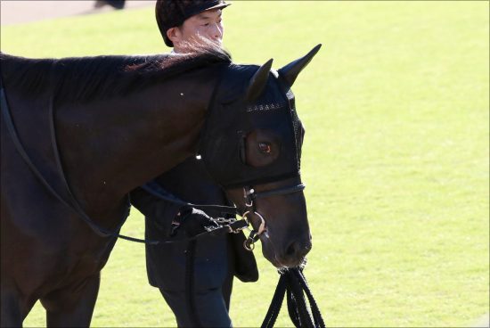 JRAホープフルS（G1）サートゥルナーリア「最大の敵」は2歳王者!? アドマイヤマーズとのM.デムーロ「争奪戦」勃発かの画像2