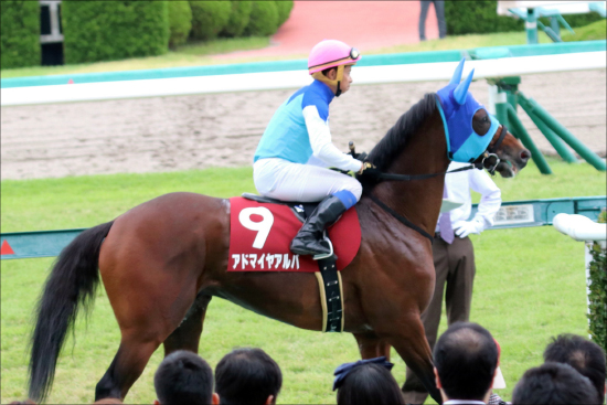 【京都金杯（G3）】2019年JRA最初の大混戦!? 飛躍を誓う素質馬集結の画像2