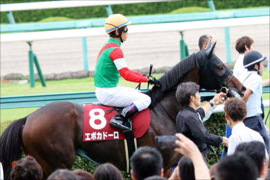 【中山記念（G2）展望】JRA・G1馬5頭！ 「ドバイ前哨戦」スワーヴリチャードら超豪華決戦の画像3