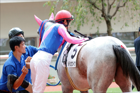 JRA「酒気帯び運転」角居調教師復帰で深刻なのは中竹厩舎？ 2019年リーディング首位発進も、その「実情」は......の画像3