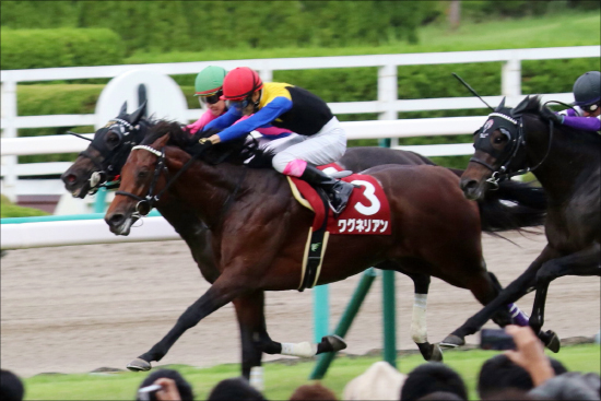 【大阪杯（G1）展望】JRA「G1馬8頭」集結！ 「復帰」ワグネリアンに「雪辱」ブラストワンピースなど、予測不能豪華決戦！の画像1