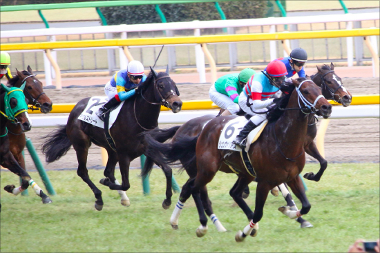 JRA勢の南関東クラシック「侵略」に待ったなし......中央の「大器」プロミストリープによる異次元の桜花賞制覇に地方競馬関係者から悲鳴の画像3
