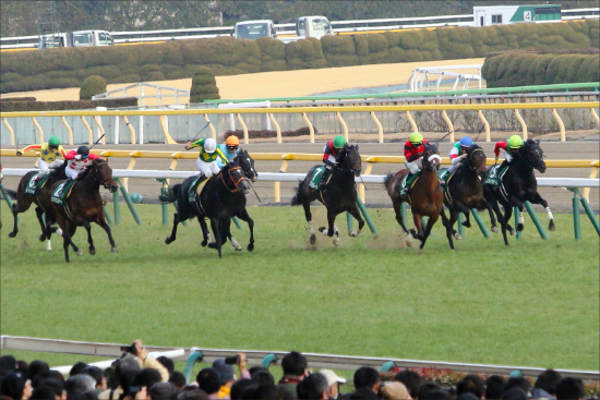 JRAオークス（G1）は「余裕の4点」勝負！「堅い」下馬評を覆す強力関係者情報!?の画像3