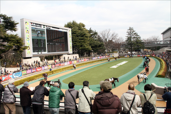 JRA藤原英昭厩舎「歴代最高ペース」でリーディング当確!? 驚異の3着以内率6割超え「今、最も金になる厩舎」の狙い目とはの画像2