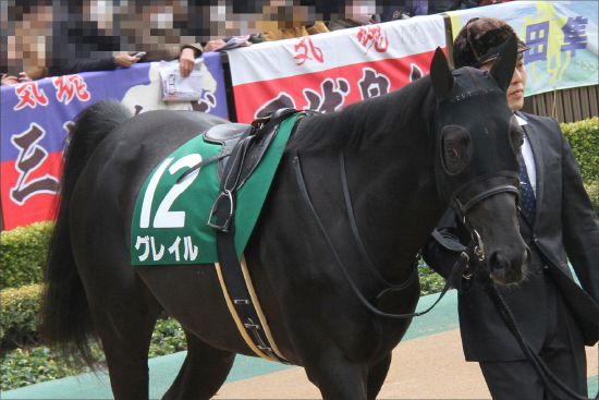 日本ダービー（G1）「栗東関係者絶賛」穴馬2頭に注意!? 「ダービーでこそ」の激走候補をチェックの画像2