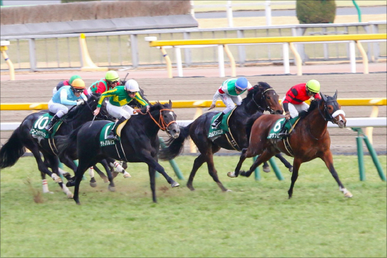 皐月賞（G1）「当確」オウケンムーンの妄想と現実。常識を覆す「第2のキタサンブラック」へ......地味馬だからこそ輝く「スター」の資質の画像2