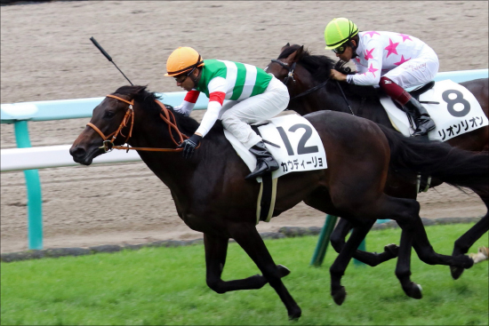 【青葉賞（G2）展望】JRA「日本ダービー重要前哨戦」に素質馬集結！ 令和最初の大舞台「切符」を手にするのはの画像3