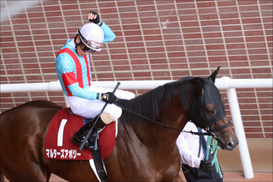 【小倉大賞典（G3）展望】JRA「逃げ馬勢揃い」超良血タニノフランケルも激流に飲み込まれる!?の画像3
