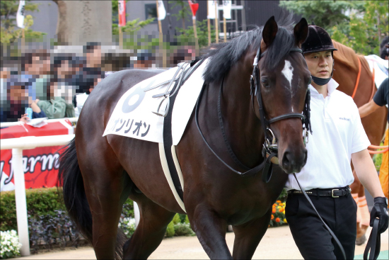 JRA日本ダービー（G1）横山典弘「騎乗停止撤回」を申し出るも却下に不満の声。息子「やってやりますよ！」に期待の画像2