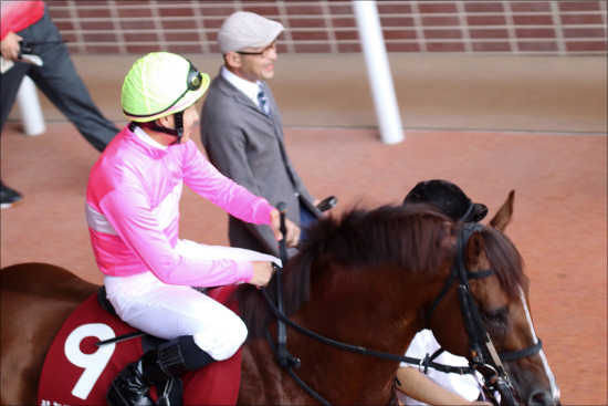 AJCC（G2）フィエールマン「押さえ」まで！「現場ネタ」から強気な「穴馬券」狙い!!の画像3