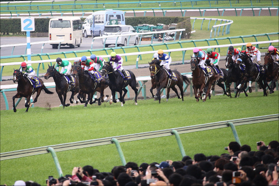 JRA田中博康厩舎「超速3勝」で出世確定か......調教師に至った経緯としたたかな「システム」の画像2