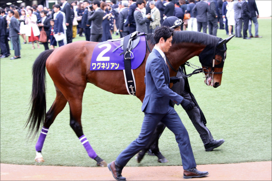 JRA福永祐一「代役」はオーナーも信頼するあの騎手？ 神戸新聞杯（G2）ワグネリアンを襲った「1／570の悲劇」に関係者も痛恨の画像2