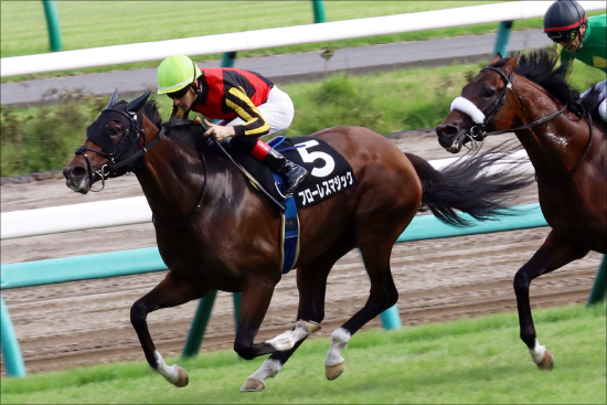 【ターコイズ（G3）展望】JRA「未完の大器」集結！ 中山マイルに飛躍誓う牝馬たちの熱い戦い の画像2