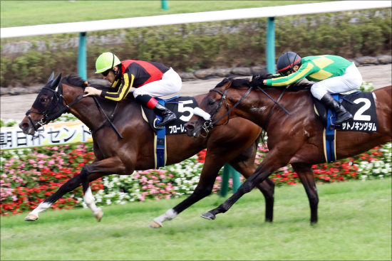 JRAターコイズS（G3）「3歳代表」が力見せる？ 関係者情報から見出した最強「5頭ボックス」の画像2