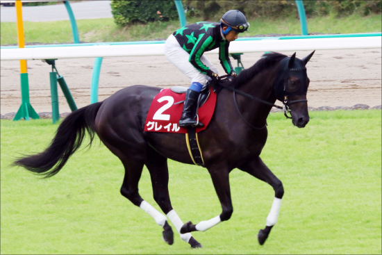 菊花賞（G1）「武豊マジック」炸裂!? エタリオウ・エポカドーロ「切り」で見えた「穴馬券」!!の画像1