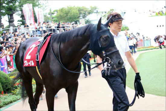 【中日新聞杯（G3）展望】JRA「絶好調」3歳世代が今週も活躍？ 実力拮抗のハンデ重賞！の画像2