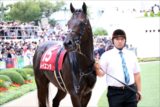 【エプソムC（G3）展望】JRA「実績馬」多数の混戦！ 武豊ソウルスターリング復活にも注目の画像2