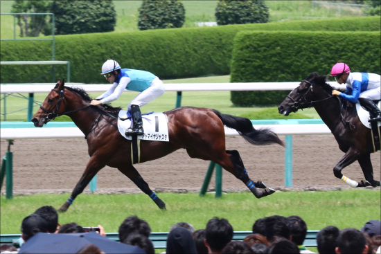 すみれSは「1点勝負」で余裕!?　JRA岩田アドマイヤジャスタの「相手」はこいつだ！の画像1