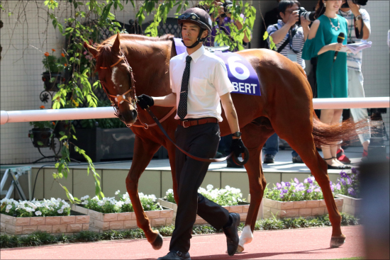 【京都大賞典（G2）展望】シュヴァルグランなど強豪が集結！ 大本命を止める「伏兵」陣も虎視眈々!?の画像3