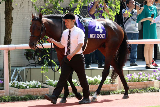 武豊オジュウチョウサン「100％」5馬身ぶっちぎり！ 有馬記念（G1）1週前追い切りは「あの馬」に一抹の不安......の画像4
