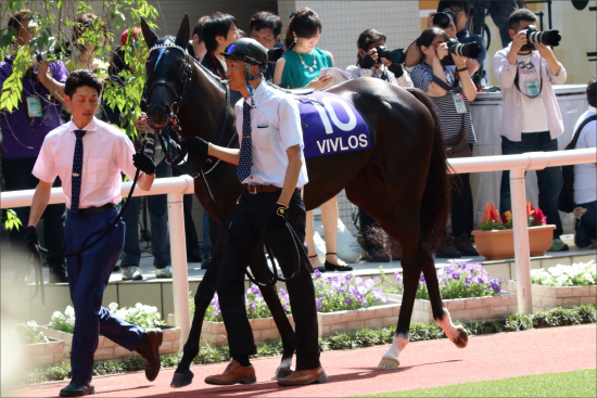 JRA天皇賞・秋（G1）大魔神佐々木主浩氏「兄妹ラストスパート」ヴィブロスが世界を制した強さを見せる？の画像2