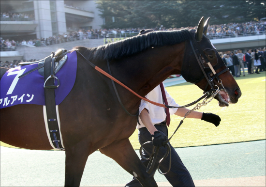 JRA「ほぼG1」金鯱賞（G2）メンツが激アツ！ G1馬多数出走に「開花」エアウィンザー＆「復活」ダノンプレミアム！の画像2