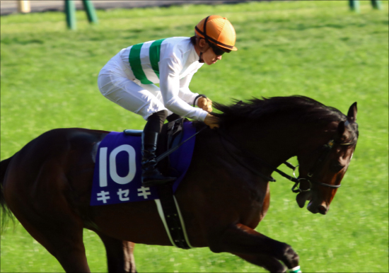 【有馬記念（G1）展望】武豊オジュウチョウサンVS王者レイデオロ！！ 2018年競馬の総決算を制すのは「夢」か「現実」かの画像4