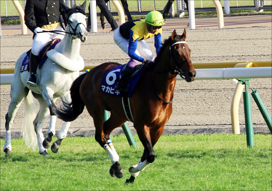 JRA大阪杯（G1）栗東・美浦から「耳寄り情報」ゲット！ あの「G1ホース」たちの本当の状態は......の画像2