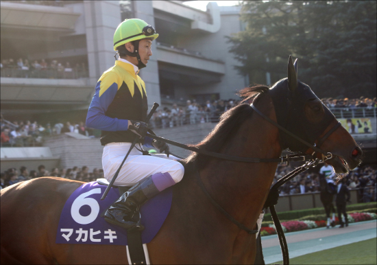 JRA有馬記念（G1）キセキが奇跡の回復!? 栗東から届けられた有力馬情報大放出！の画像3