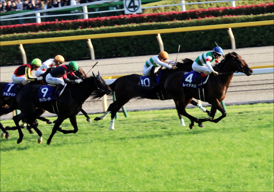 JRA有馬記念（G1）「最終追い切り」武豊オジュウチョウサン、覚醒キセキは微妙!? 仕上がったのは......鈴木和幸「第63回有馬記念最終追い切り診断」の画像4