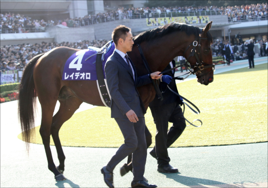 【有馬記念（G1）展望】武豊オジュウチョウサンVS王者レイデオロ！！ 2018年競馬の総決算を制すのは「夢」か「現実」かの画像2