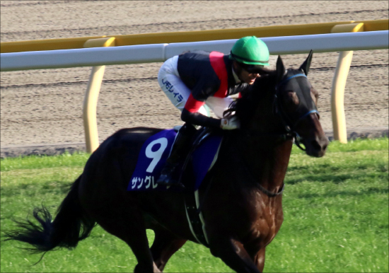JRA大阪杯（G1）「人気しない強豪」サングレーザーのアキレス腱はミナリク!? 「休み明け実績」抜群も......の画像2