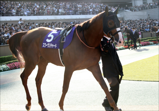 JRA宝塚記念「出走予定馬」出揃う。「真の王者に」レイデオロVS「1年ぶり美酒」キセキら実力派勢ぞろい！の画像4