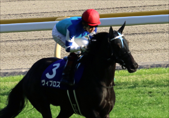 アーモンドアイ「勝ち確!?」覇者ベンバトルがドバイターフ回避で「日本馬上位人気独占」にシラケムードの画像2