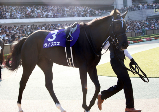 JRA「今度こそ引退」大魔神佐々木主浩の愛馬ヴィブロスのドバイターフ（G1）「3年連続好走」はあるのかの画像2