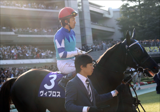 JRA「今度こそ引退」大魔神佐々木主浩の愛馬ヴィブロスのドバイターフ（G1）「3年連続好走」はあるのかの画像3