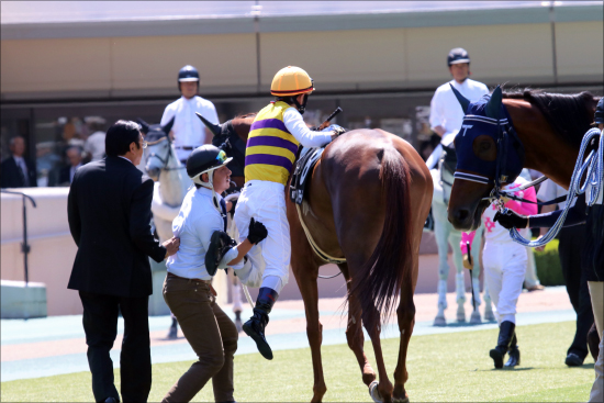 JRA日本ダービー（G1）登録馬出揃う！サートゥルナーリアら優先出走、賞金順、除外馬完全網羅で紹介の画像3