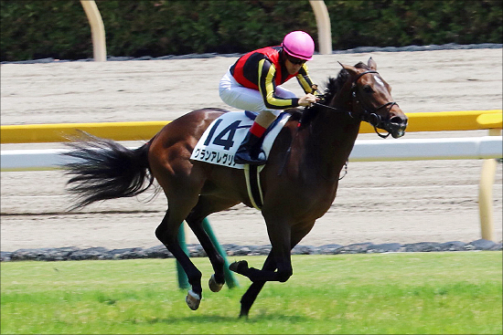 JRA桜花賞（G1）武豊マジックで波乱決着も！「極秘ネタ」から「穴馬券」を狙い打ち!?の画像3