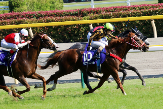 【マイルCS（G1）展望】JRA「拮抗」マイル頂上決戦！ アエロリットを脅かすのはやはりアイツ？の画像3