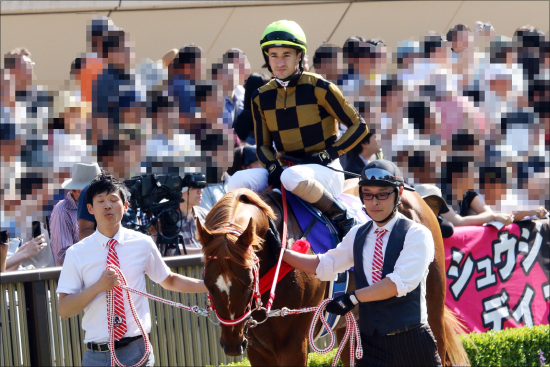 JRAマイルCS（G1）アエロリット不要の「小点数」勝負！ 強力「現場ネタ」から導いた「超・勝負馬」とはの画像3