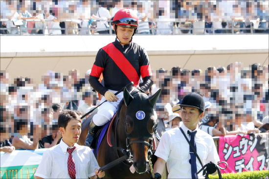 JRA「ほぼG1」金鯱賞（G2）メンツが激アツ！ G1馬多数出走に「開花」エアウィンザー＆「復活」ダノンプレミアム！の画像3