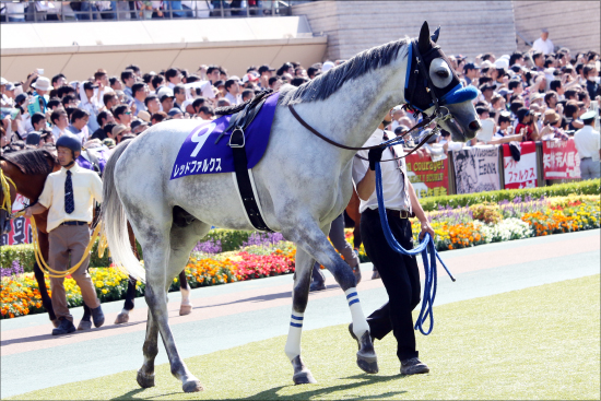 【スプリンターズS（G1）展望】新スプリント王ファインニードルVSモレイラ鞍上ナックビーナス！秋のG1戦線開幕！の画像3