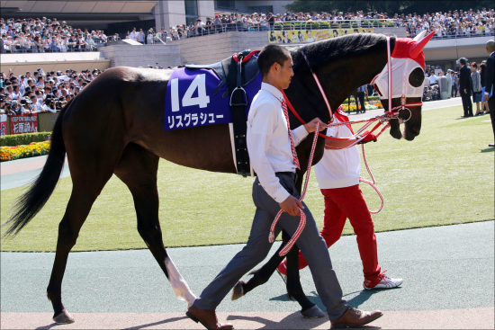 JRA宝塚記念（G1）アルアインG1・3勝目に視界良好？ レイデオロらも順調で......【1週前追い切り詳報】の画像3