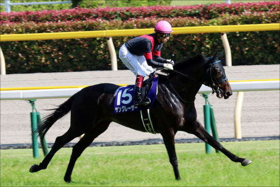 JRA「最強馬決定戦」天皇賞・秋（G1）が超豪華メンバーと話題！ 現役最強スワーヴリチャードVS3歳ダービー馬ワグネリアン激突かの画像4
